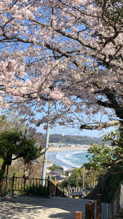 イメージは軽く放つの記事動画