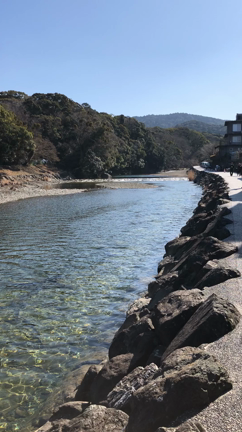 直会にの記事動画