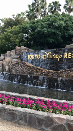 合言葉は「いつだって糖を切らさない！」で♪の記事動画