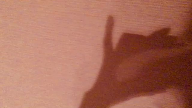 カオスの記事動画
