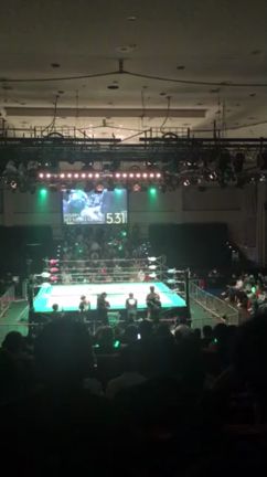 プロレス見てるよ、の記事動画