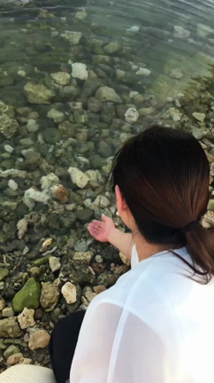 癒しの沖縄の記事動画