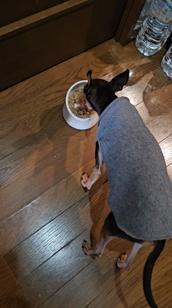 ハンターの食欲が戻りました！の記事動画