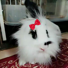 おもしろいアプリの画像