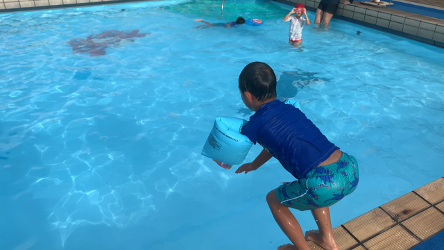 夏の成長の記事動画