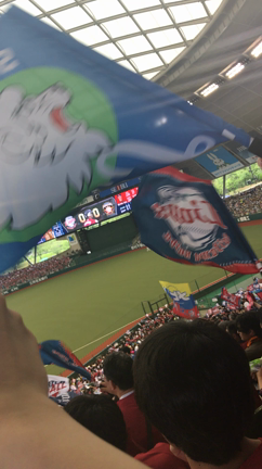 今日は野球観戦の記事動画