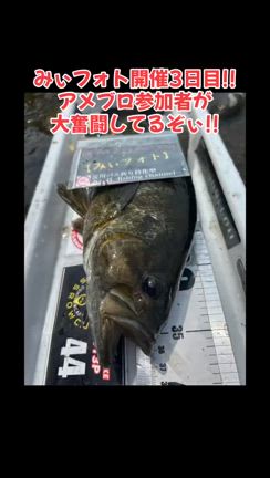 みぃフォト アメブロ編(*´ω｀*) 【6/3大会3日目】の記事動画