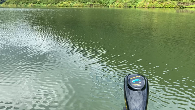 自然を感じて釣りをするって事の記事動画