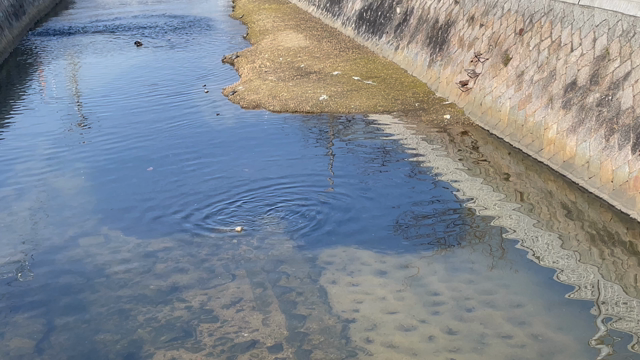 お参り帰りの気持ち悪い光景の記事動画