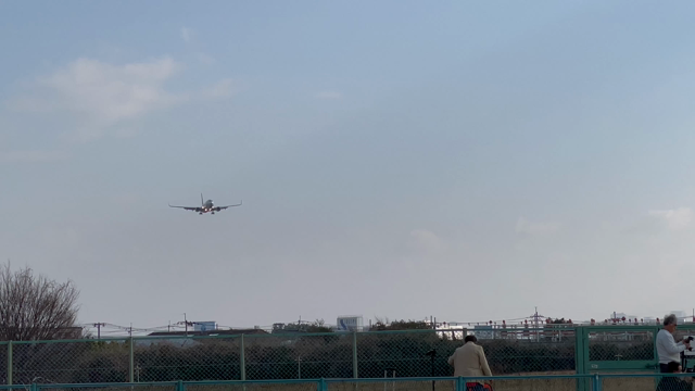 昆虫館と飛行機で思い出作りの記事動画