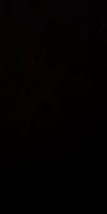 実家へ&買い占め恐ろしいの記事動画