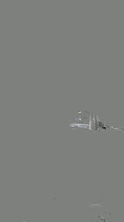 ホワイトコージーの記事動画