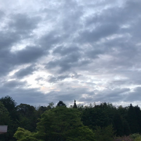 大自然の画像
