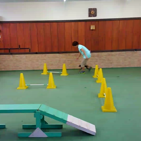 ノエル６歳～おまけ～の画像