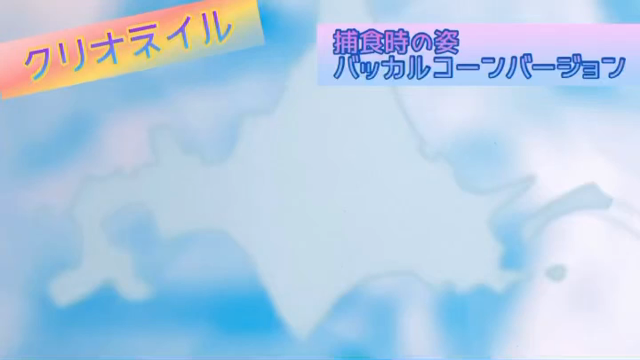 クリオネのネイル〝クリオネイル〟の記事動画