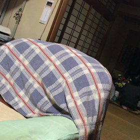 お母さんが（＾ω＾）の画像