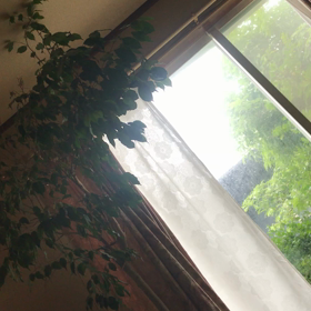 台風（＾ω＾）の画像