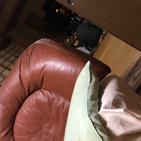 お母さんが（＾ω＾）の画像