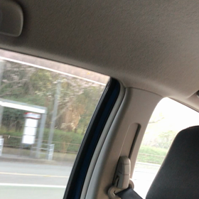 桜（＾ω＾）の画像