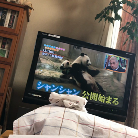 香香シャンシャン（＾ω＾）の画像