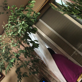 お母さんが（＾ω＾）の画像