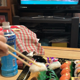 お母さんと（＾ω＾）の画像