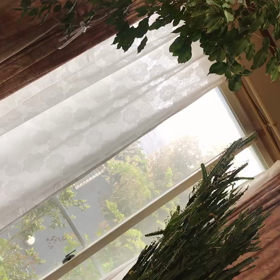 風が（＾ω＾）の画像