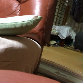 お母さんが（＾ω＾）の画像