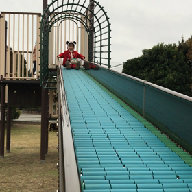 シーの公園の画像