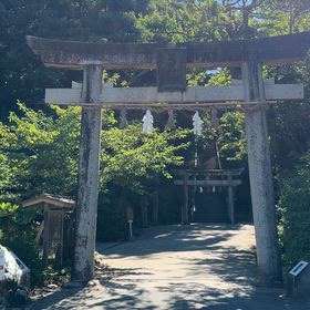 今朝はの画像