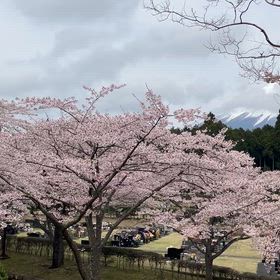 世の中殺伐の画像