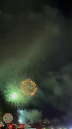 盛岡花火の祭典の記事動画