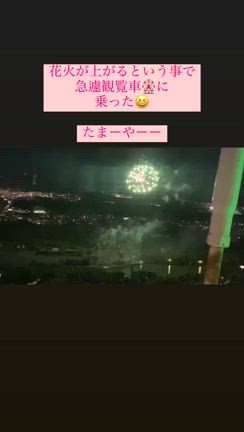 なんとも平和、全部丁度良い。の記事動画