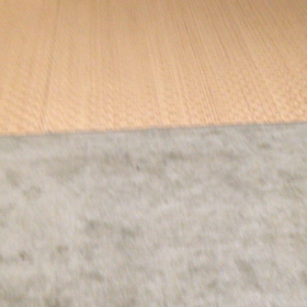 釣りの画像