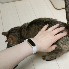 血尿に動揺の画像