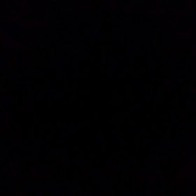 二人とも土俵に。の画像