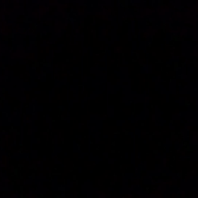 冬の歌を歌ってみた。の画像