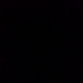明日は…。の画像