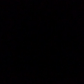 秋は…。の画像
