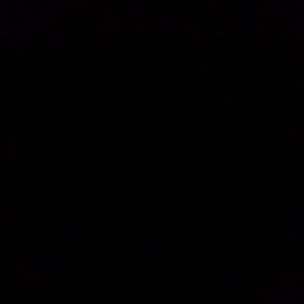 成長したかな？の画像