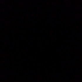 真っ白な猫で～♪の画像