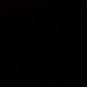 そうなの。の画像