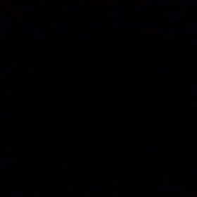 最近の暴言は…。の画像