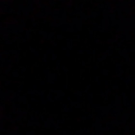 舞台挨拶はね～！の画像
