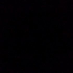 そして、みけも…。の画像