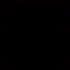 みけの切なる願い。の画像