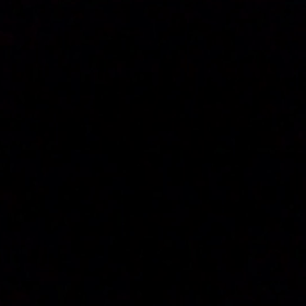 みけは生意気だもん。の画像