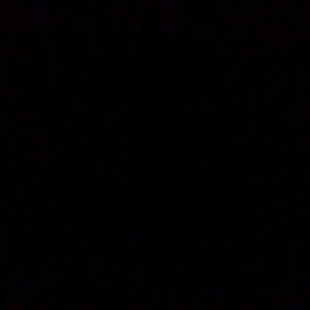 おはようございます。の画像