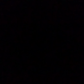 今日、スワイさん誕生日だって。の画像