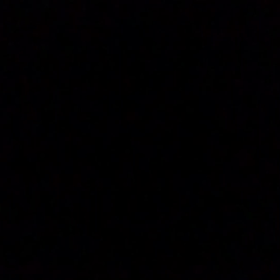 はにゅくん♪の画像